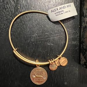 Alex and Ani charm bracelet